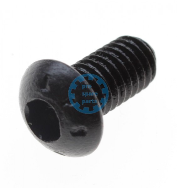 Lensscrew ISO7380 / M 6 x 12