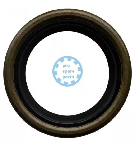 Radial Packing Ring