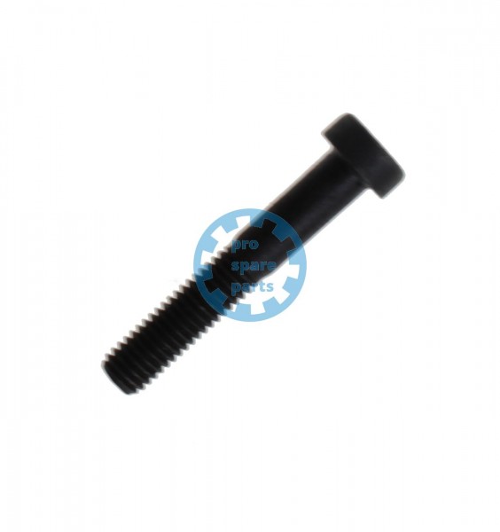 Cylinder screw DIN7984 / M5 x 30
