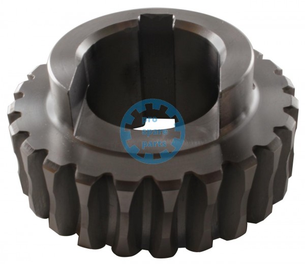 Worm Gear