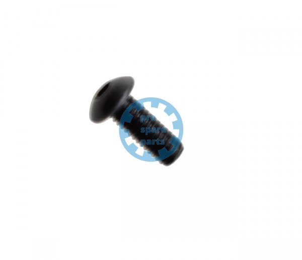 Lensscrew M4 x 16 M 10.9