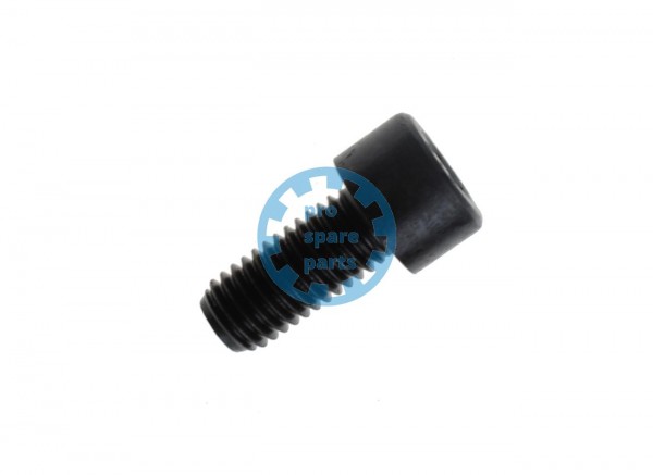 Cylinder Screw ISO4762 / M10 x 22 A