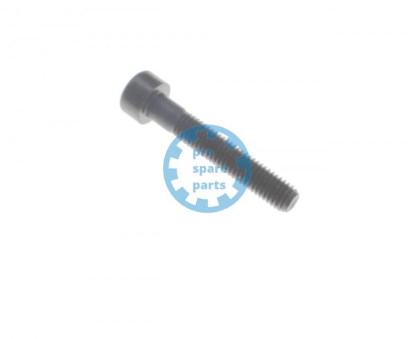 Cylinder Screw ISO4762 / M5 x 30 A