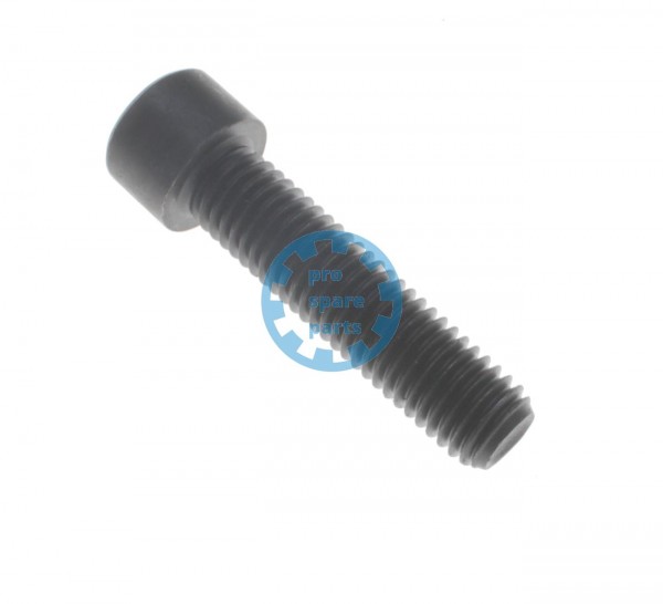 Cylinder Screw ISO4762 / M12 x 50 A