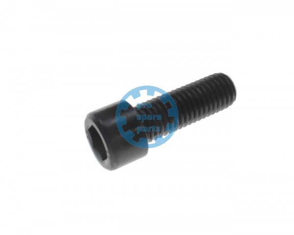 Cylinder Screw ISO4762 / M12 x 35 A