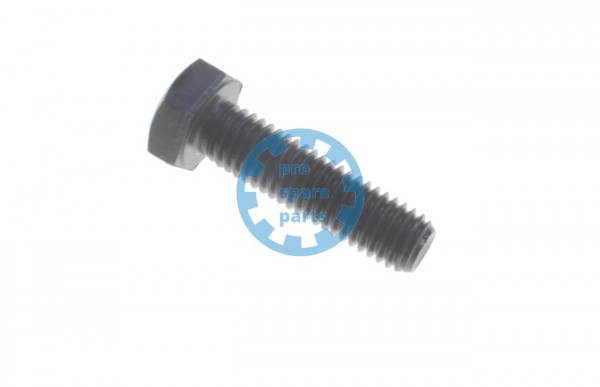 Hexagon Head Screw ISO4017 / M8 x 30 A