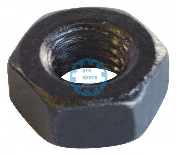 Hexnut DIN934 M10 A