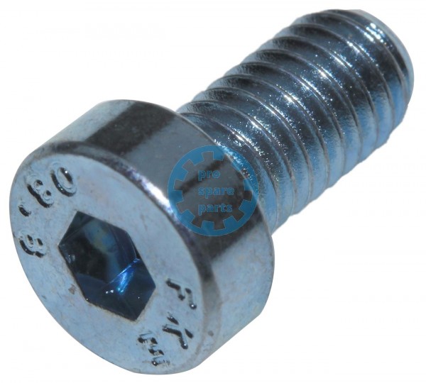 Cylinder screw DIN7984 / M6 x 12