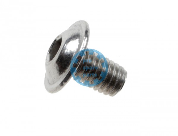 Lensscrew / M6 x 10 10.9