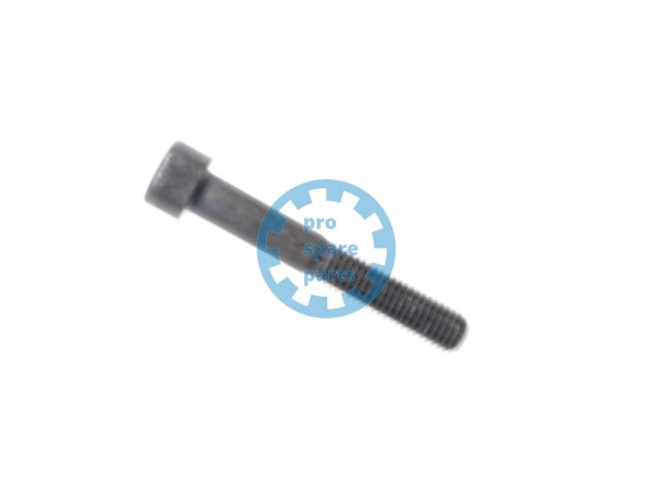 Cylinder Screw ISO4762 / M8 x 55 A