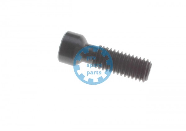 Cylinder Screw