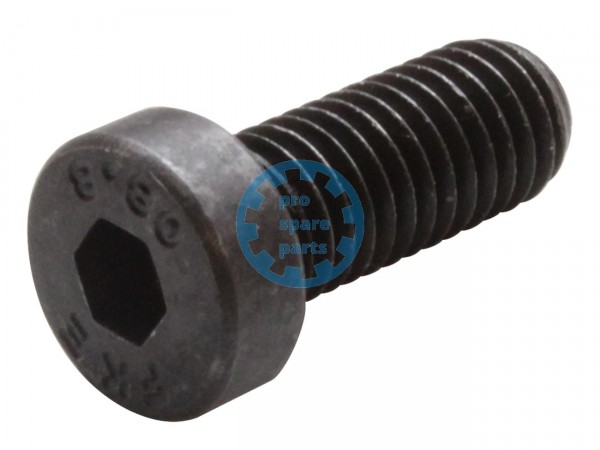 Cylinder screw DIN7984 / M8 x 20