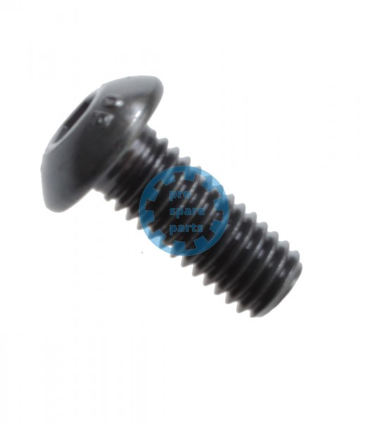 Lensscrew / M5 x 12 M