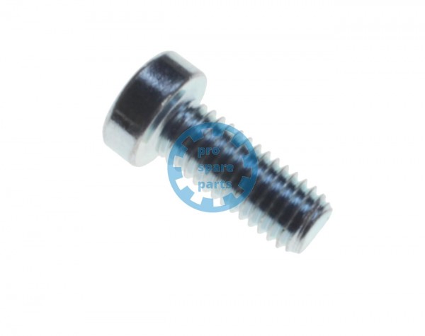 Cylinder Screw DIN7984 / M8 x 20