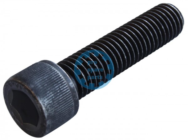 Cylinder Screw ISO4762 / M12 x 50 A