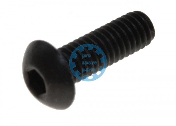 Lensscrew / M4 x 12 M