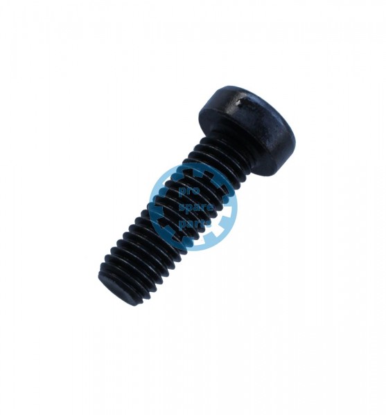 Cylinder screw DIN7984 / M8 x 25