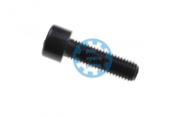 Cylinder Screw ISO4762 / M10 x 35 A