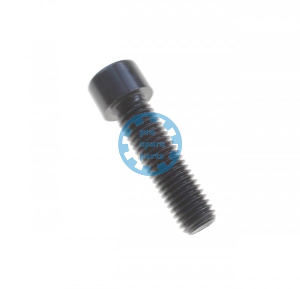 Cylinder Screw ISO4762 / M12 x 45 A