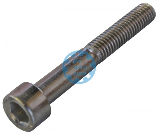 Cylinder Screw ISO4762 / M6 x 45 A