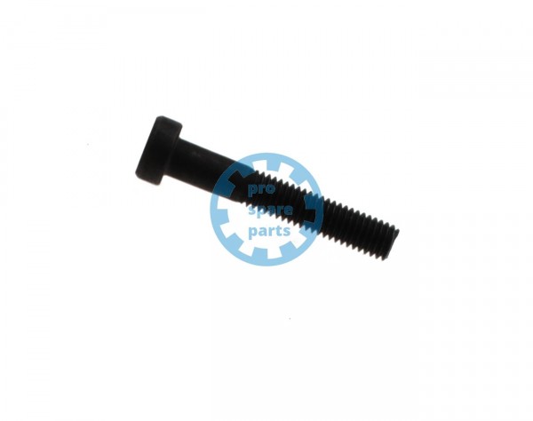 Cylinder Screw ISO4762 / M5 x 30 A