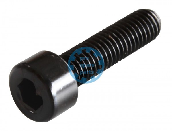 Cylinder Screw ISO4762 / M5 x 20 A