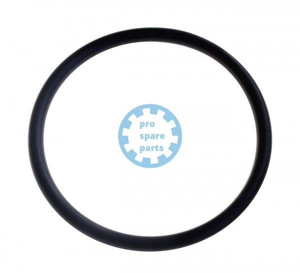 O-Ring OR 41,2 3