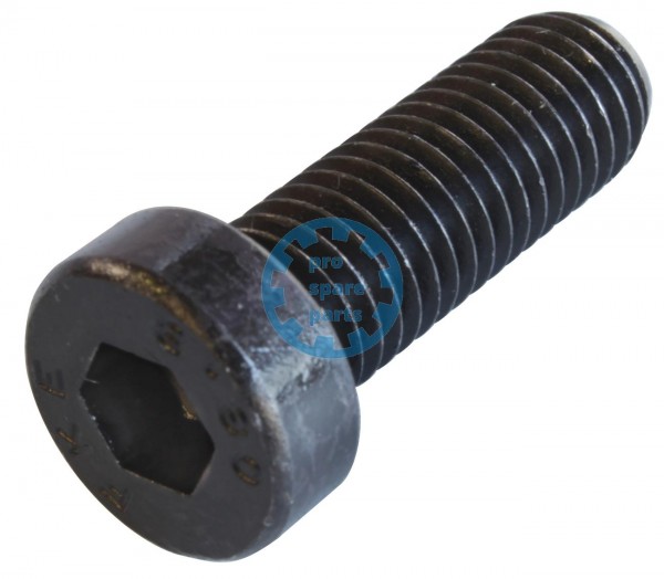 Cylinder Screw DIN7984 / M10 x 30
