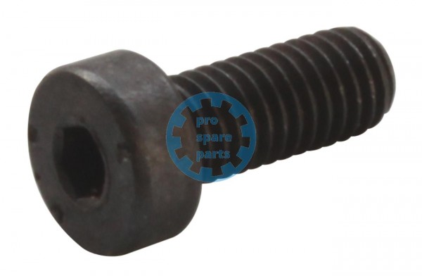 Cylinder screw DIN7984 / M5 x 12