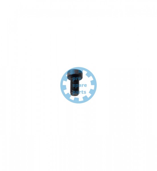 Cylinder screw DIN7984 / M4 x 8